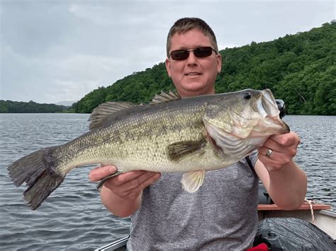 largemouth bass fishing|Largemouth Bass Fishing – 5 Helpful Tips for Beginners.